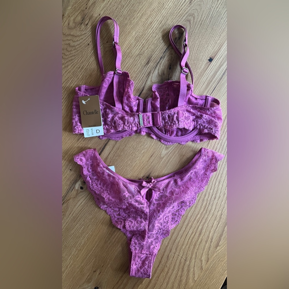 CHANTELLE RIVE GAUCHE LACE BRA & PANTY SET, SIZE 34D & SMALL, NWT. - Picture 2 of 11